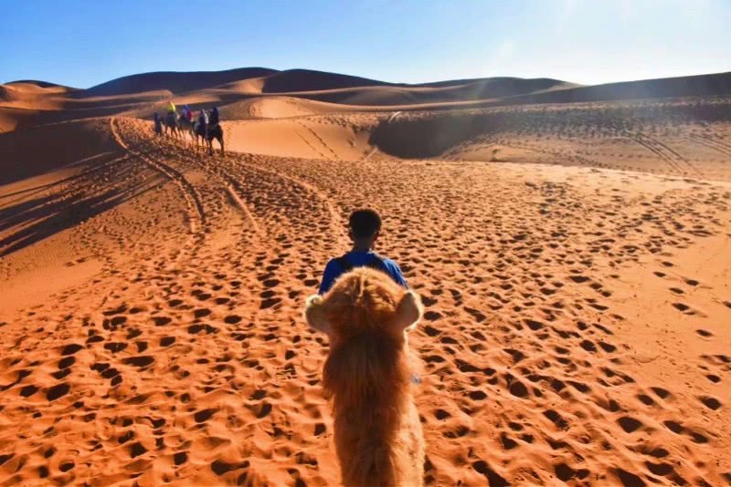 对话深圳游13国女大学生：出发前不知疫情，被骂到失眠但不后悔