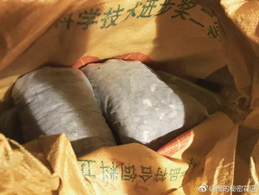 湿疹，当代老中青三代不治之症