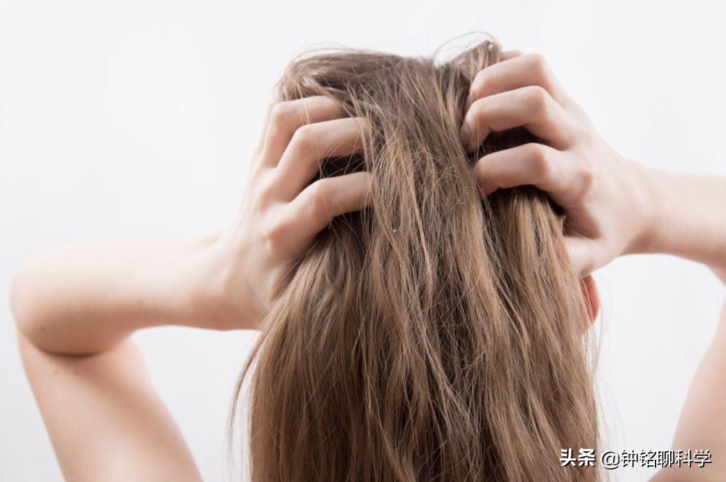 为什么虱子从21世纪就消失了,人类虱子的进化史