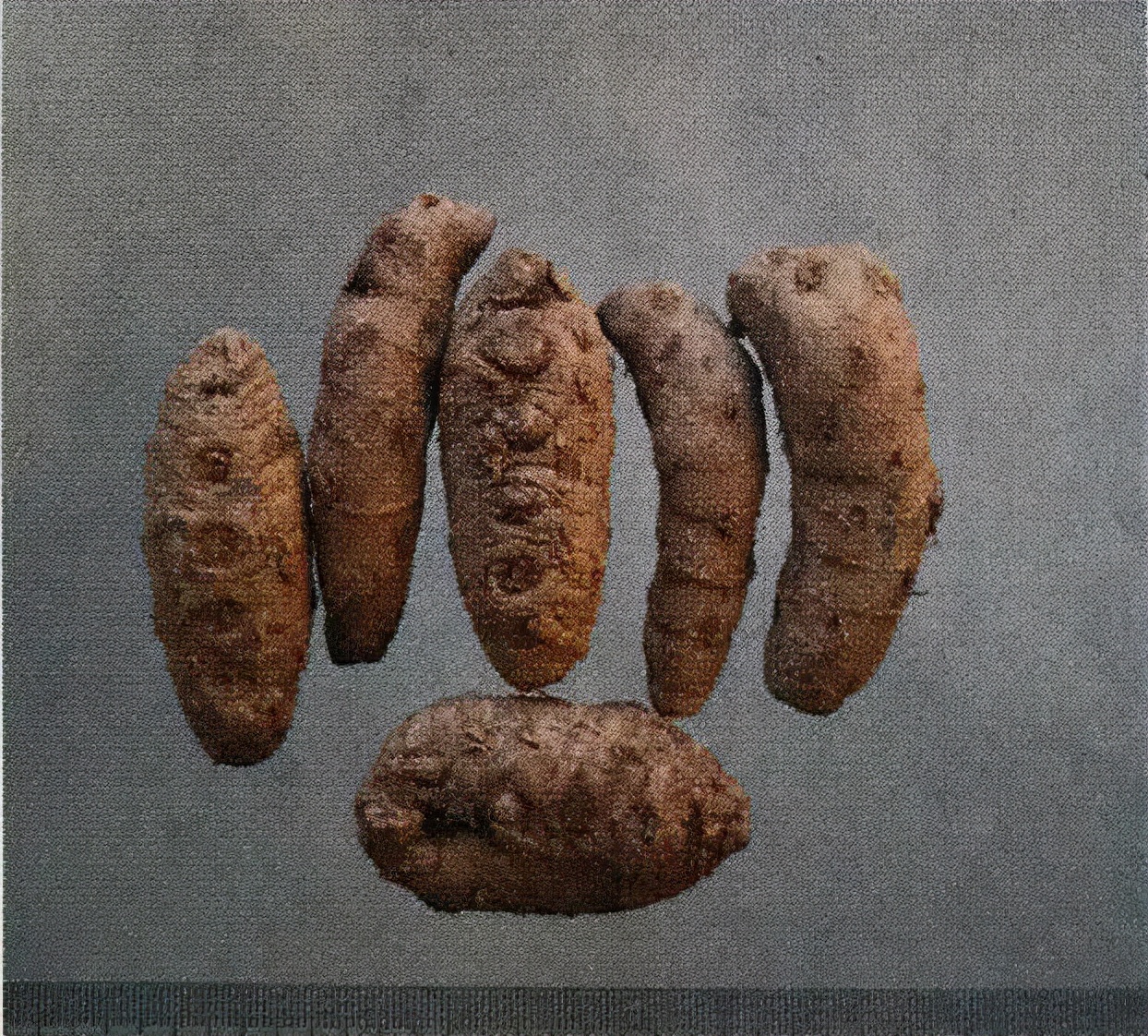 草药莪术的功效与作用,醋莪术行气破血什么意思