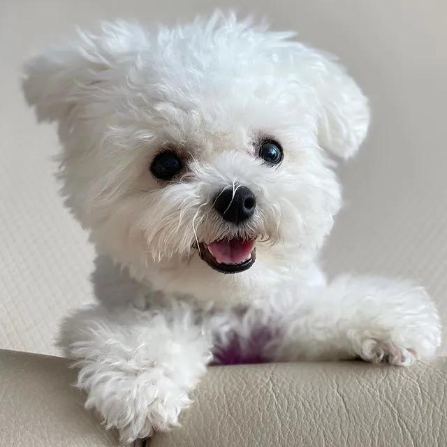 拿什么方式减压,有什么最好的减压方法