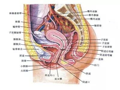 妇科炎症对宝宝有影响么,妇科炎症怎么办才能彻底消除