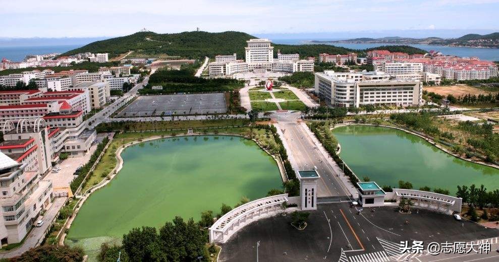 2020山东考生报山东大学必备数据资料（附各专业详细数据）