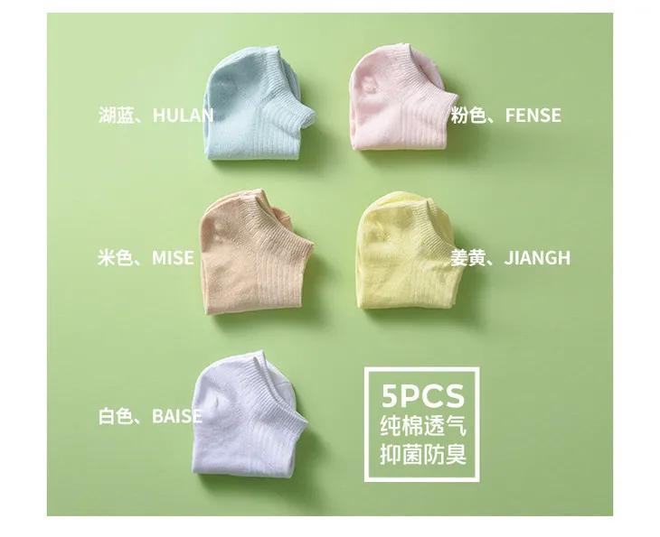 马卡龙男女袜子夏款船袜,马卡龙色系女袜爆款