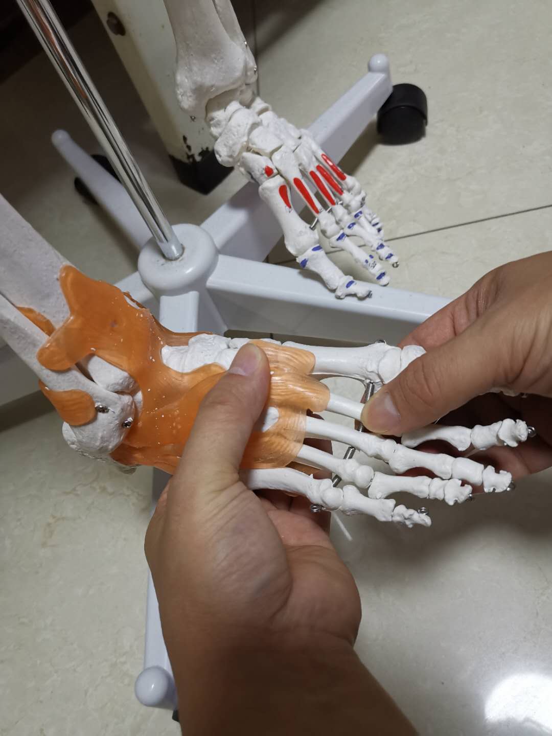 足背扭伤针灸治疗原理,董氏奇穴治踝关节扭伤