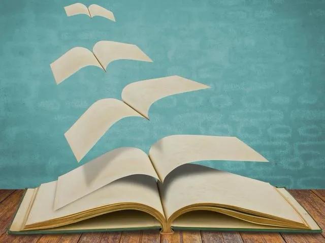 行走在书中的猫,行走在书中作文