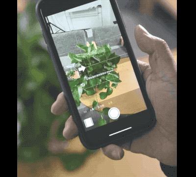 iphone有什么好技能,iphone究竟有什么能耐