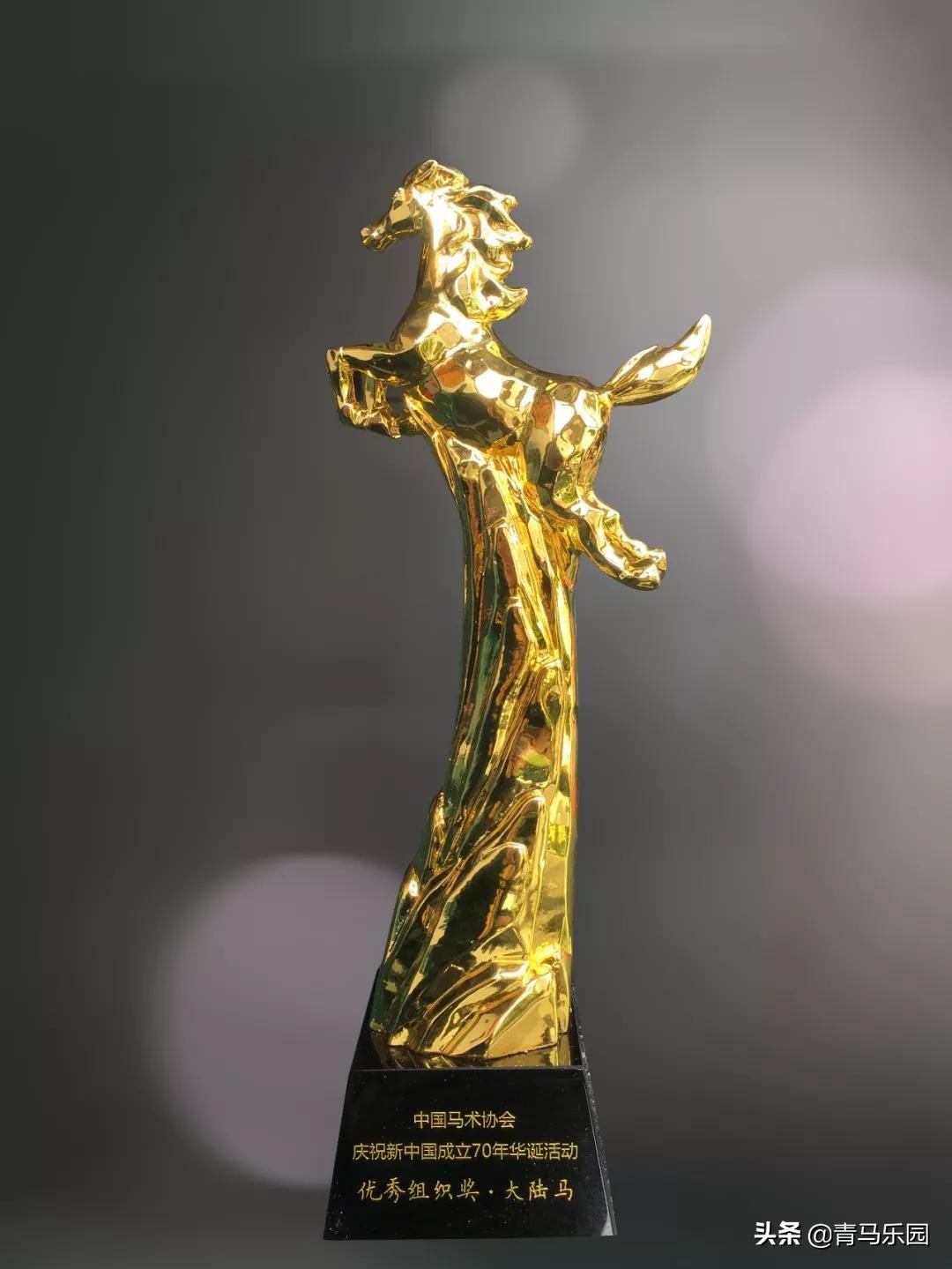 浙江嘉兴市体育局领导一行走访新冠疫情下的九龙山马会俱乐部