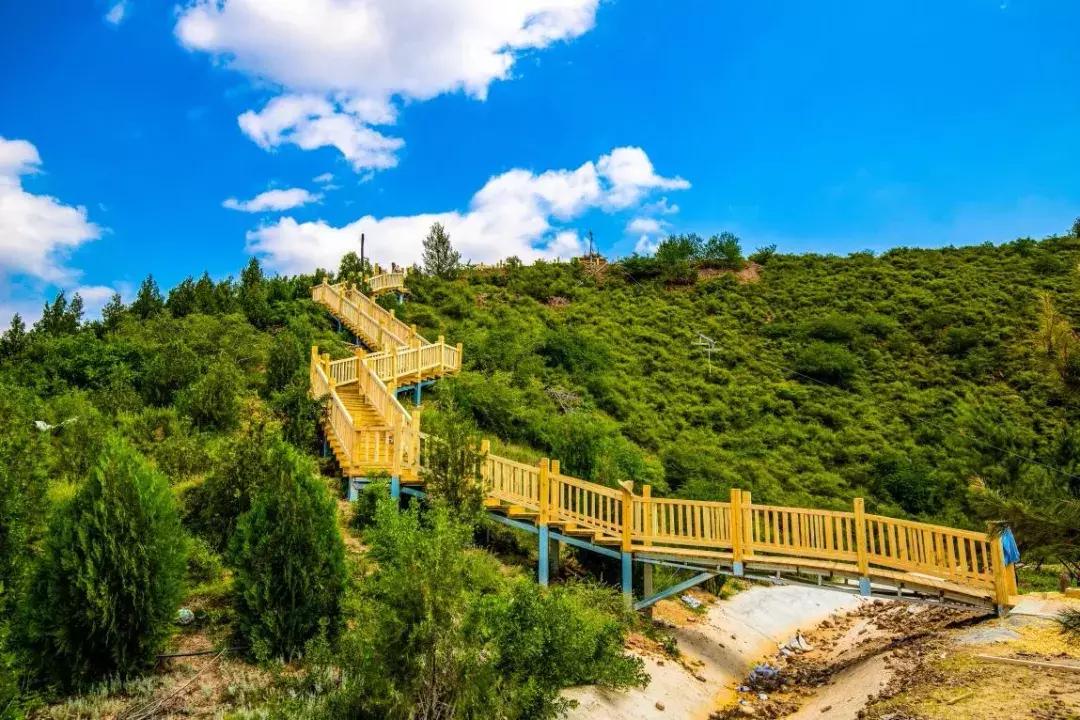 张家口山顶体育公园简介,张家口山顶体育公园收费吗