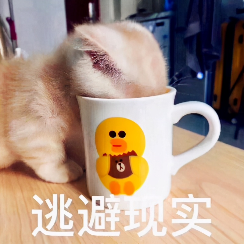 考研失败怎么准备二战,二战考研失败啥也不会怎么找工作