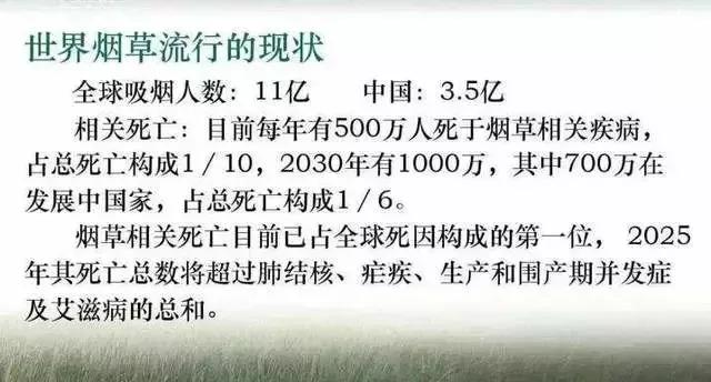 烟的成本价格到底有多低,65元中华烟成本知多少