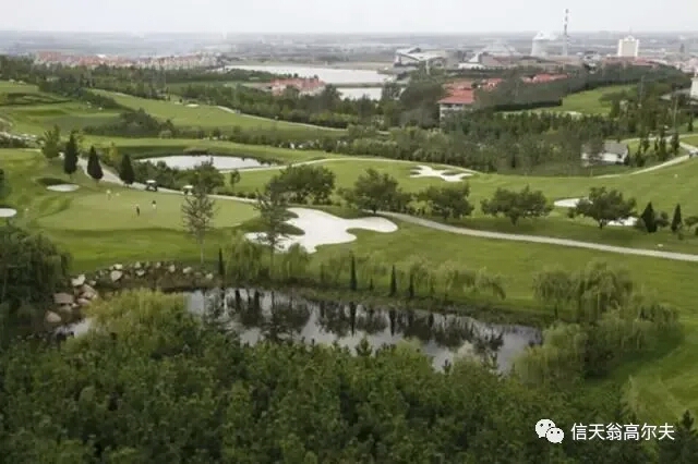 烟台比较知名的球场,烟台鼎盛