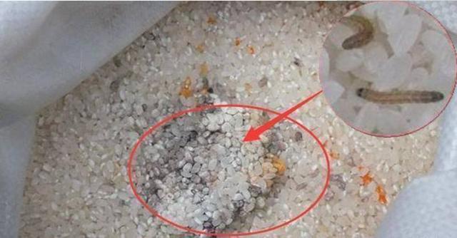 经常吃五谷杂粮会变成什么体质,多吃五谷杂粮对身体好是真的吗