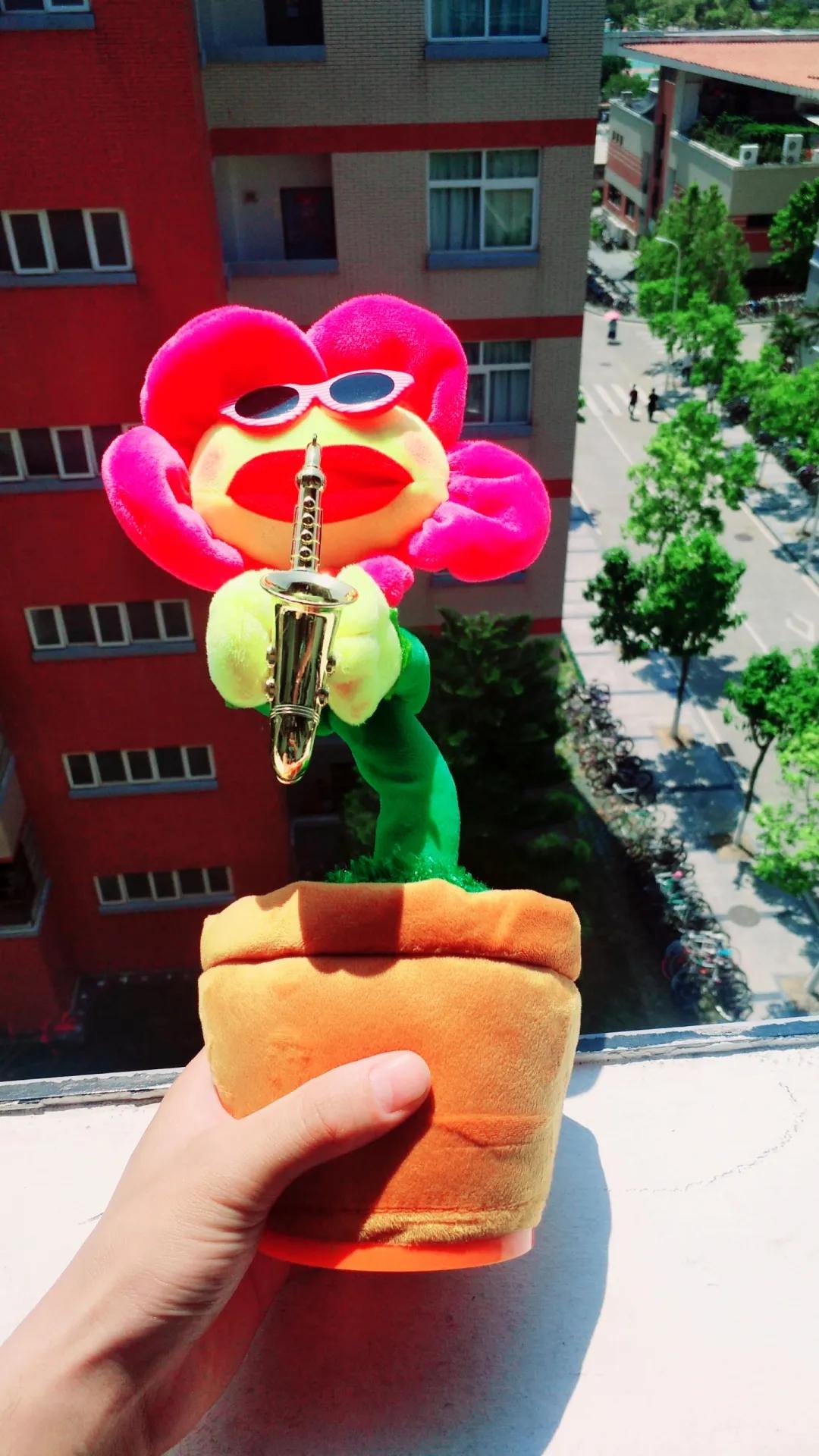 和宠物沟通说什么,宠物谈恋爱怎么回事