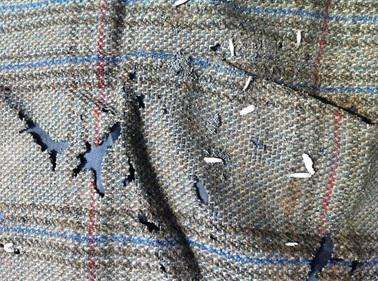 衣服放在衣柜里有白色的小虫子,衣柜中的衣服有小虫子要不要洗