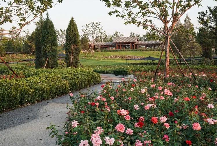 儿童乐园绿心公园,绿心公园儿童游乐区最新视频