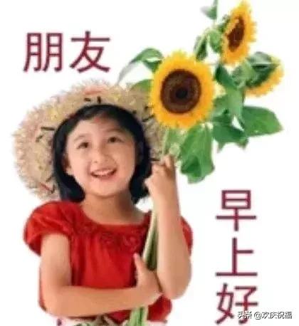 微信早上好最暖心祝福问候语,微信早上好问候语温馨短句图片