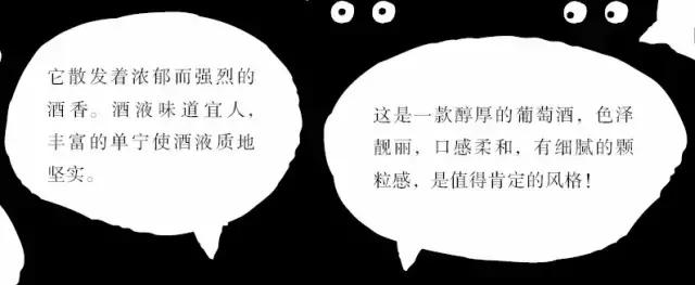 启智说说|“人人都该知道的葡萄酒基础知识”分享