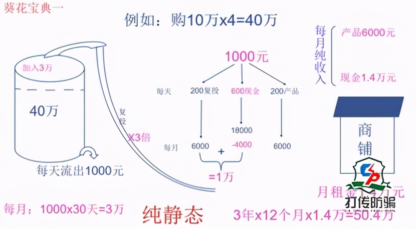 坤德国际爱尔发虾青素,坤德虾青素