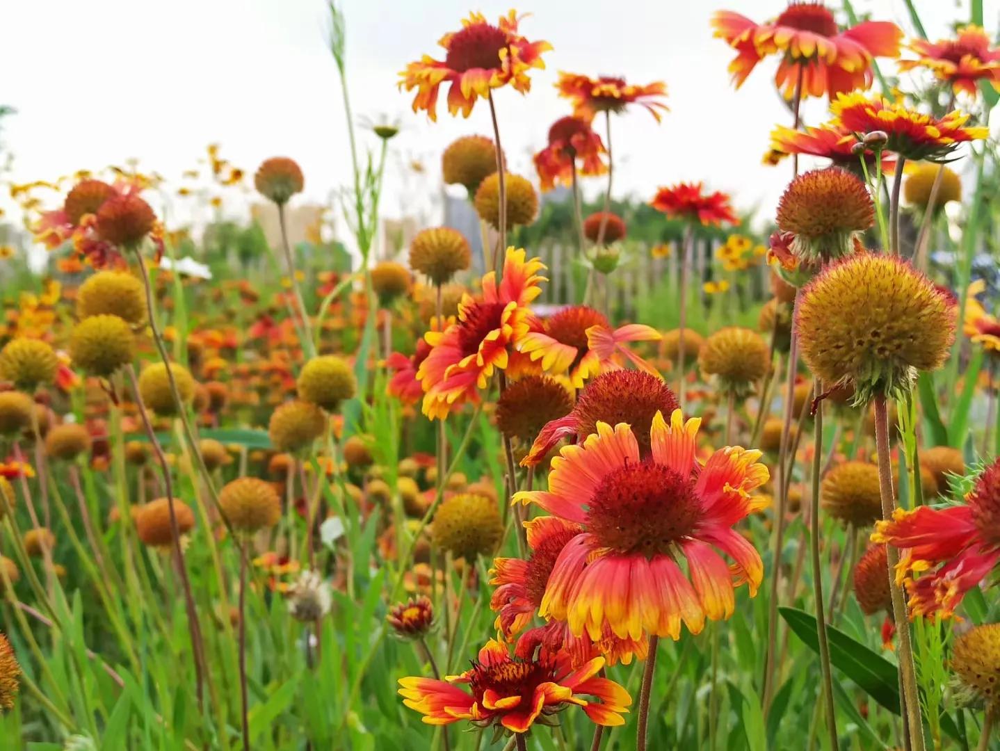 贱人就是矫情视频,人就是矫情