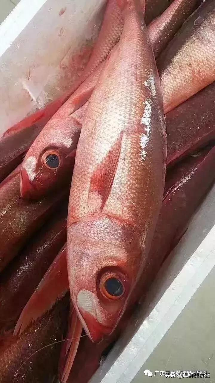 这5种淡水鱼值得多吃,中国最好吃的鱼类排行榜