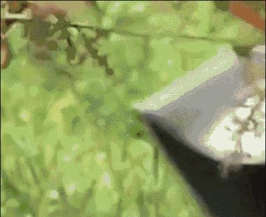 为啥德国拥有2000多个世界名牌,为什么德国有那么多500强