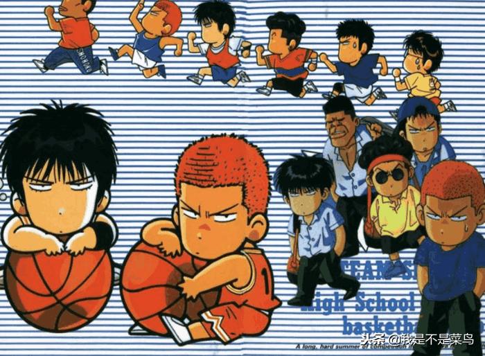 灌篮高手中的小博士科普,灌篮高手t博士