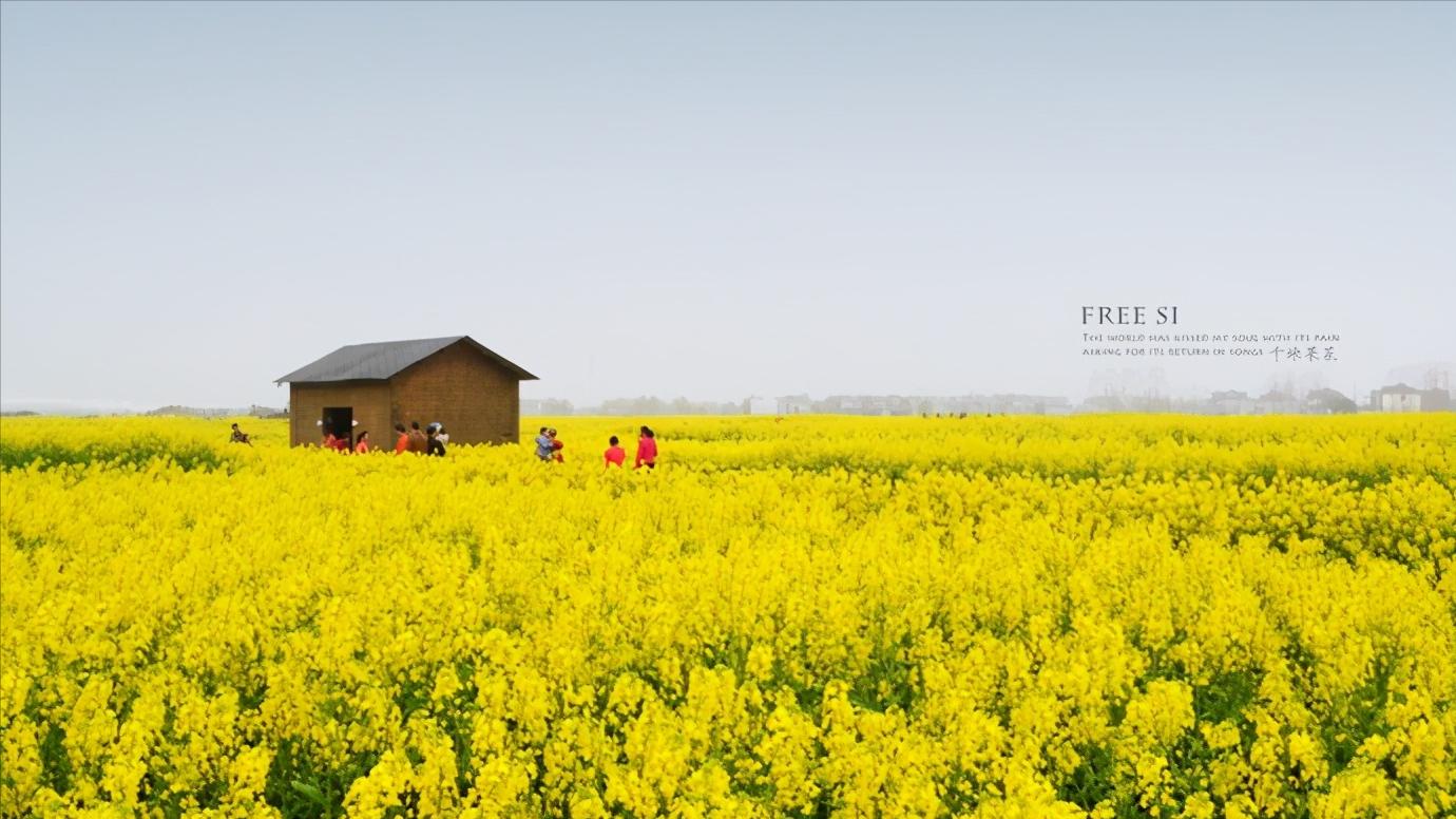 华东江苏篇,浅谈全国各省份