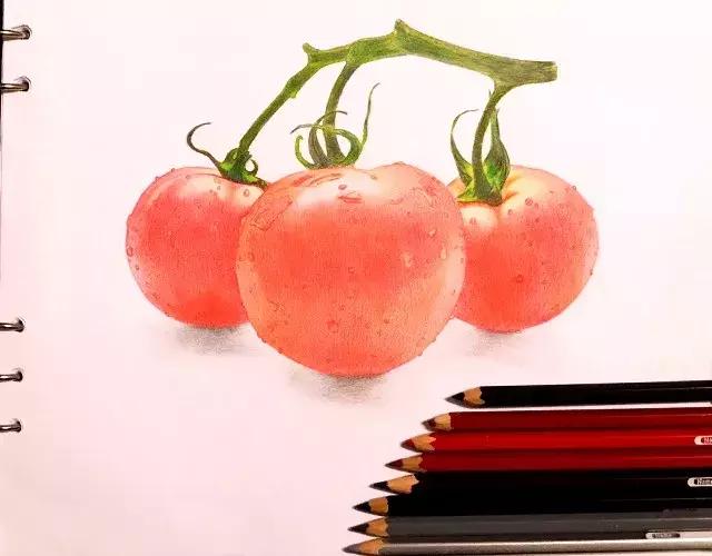 儿童彩铅画番茄,彩铅画写生番茄