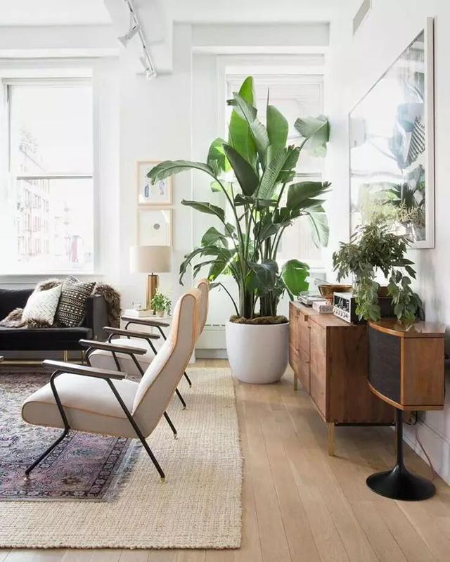 一进门正对厕所怎么装修效果图,进门对着厕所怎么化解农村