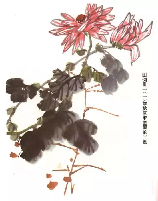菊花国画入门简单教程,国画菊花画法技法教程