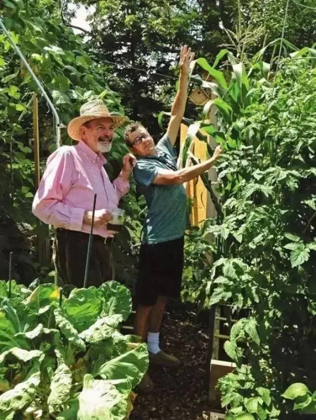 小型菜园怎么合理利用,1米菜园立体菜园