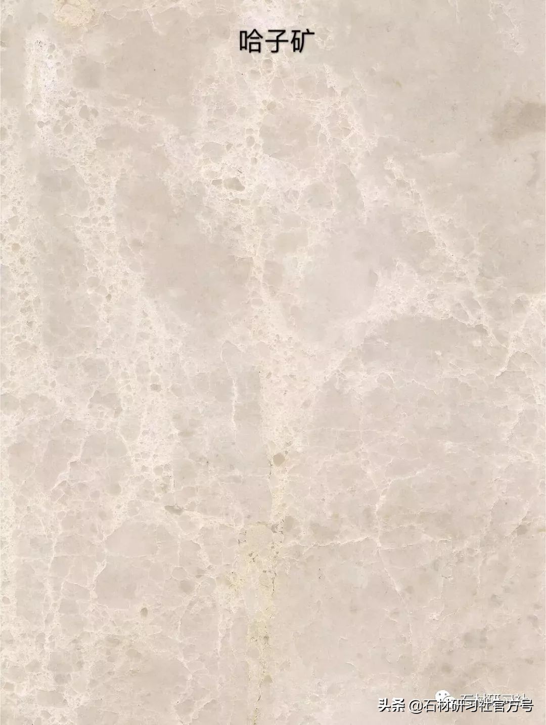 豪宅用的高级天然大理石,别墅铺什么颜色大理石档次最高