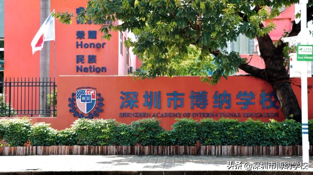 深圳南山这所宝藏国际学校，带你去打卡
