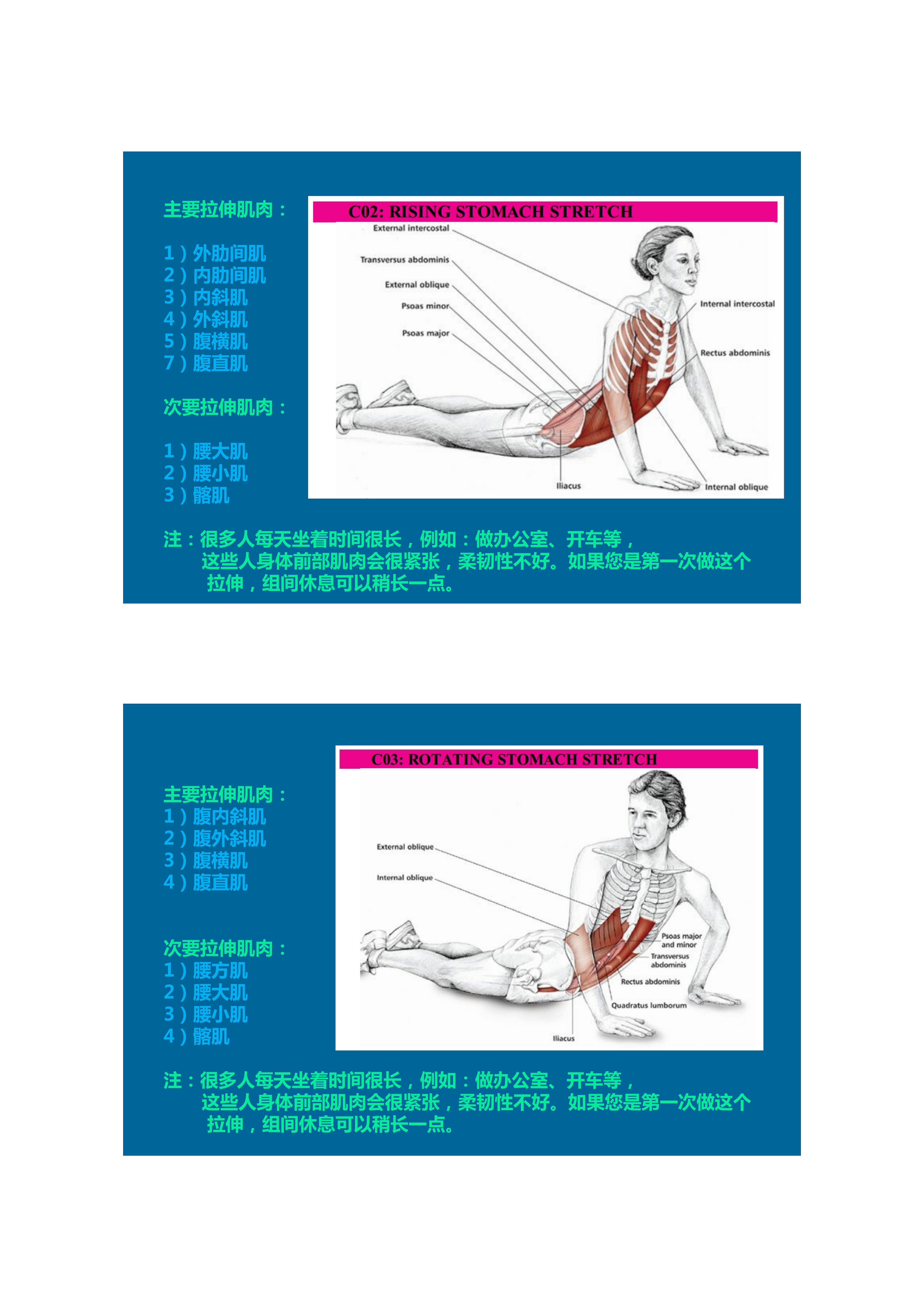 1分钟拉伸动作视频,拉伸腿部技巧