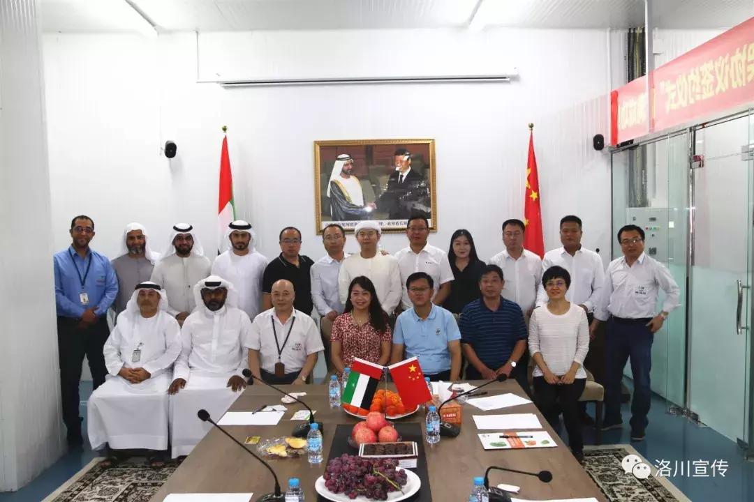 成了！洛川苹果迪拜办事处成立