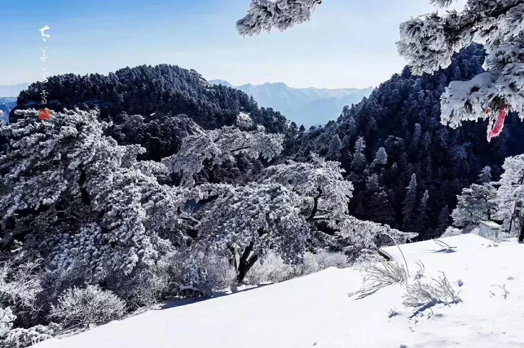 冬游华山,冬游华山景区