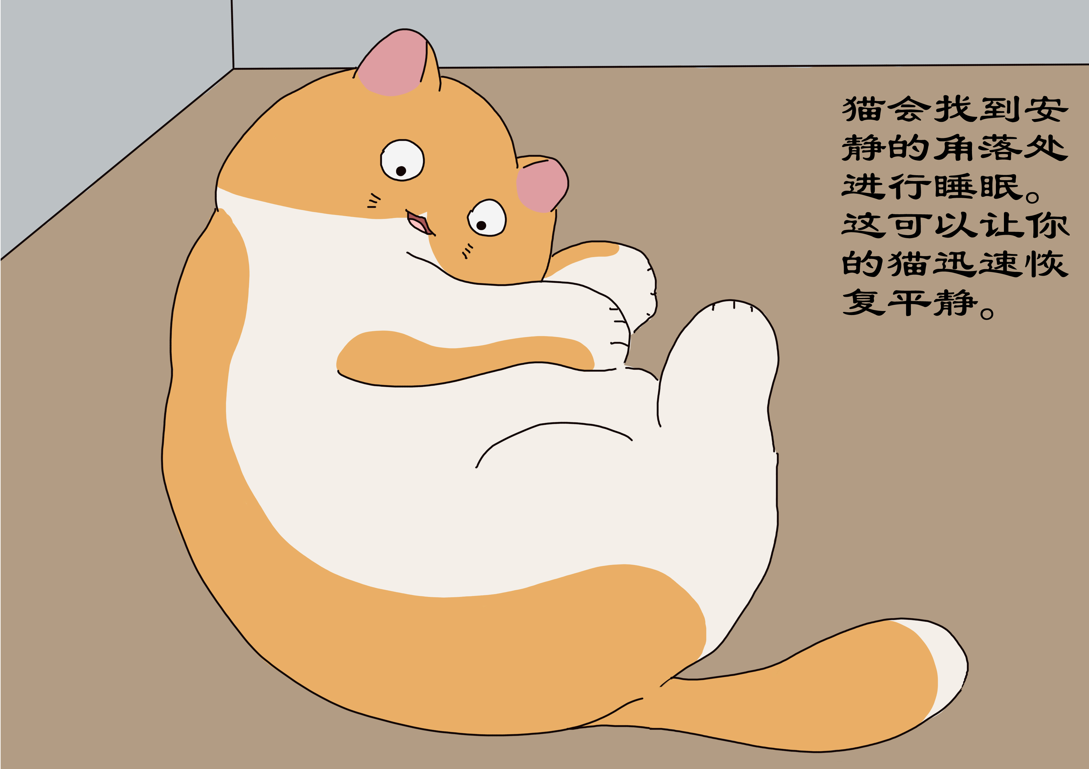 猫生气安抚猫咪情绪,猫生气了怎么哄猫咪开心