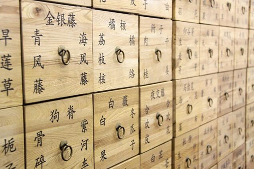 种植好项目推荐,种植药材创业项目推荐