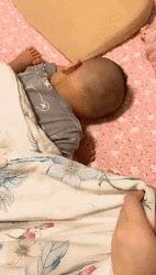 搞笑动图gif兔子,搞笑动图gif猫咪