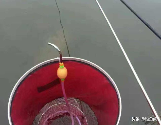 钓鱼十大奇葩物品,钓鱼装备好与坏真的很重要吗