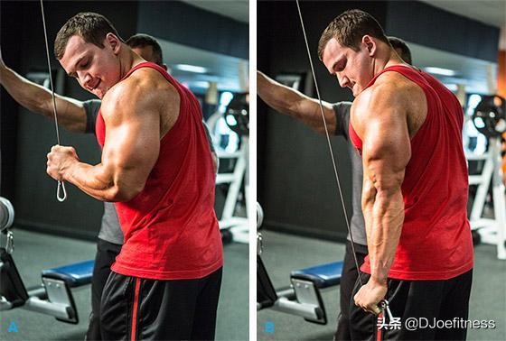 感觉肌肉变大了但是体脂率没掉,感觉肌肉萎缩到一边是怎么回事