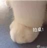 警惕“新冠妄想症”！女子私自网购服用新冠处方药被送ICU