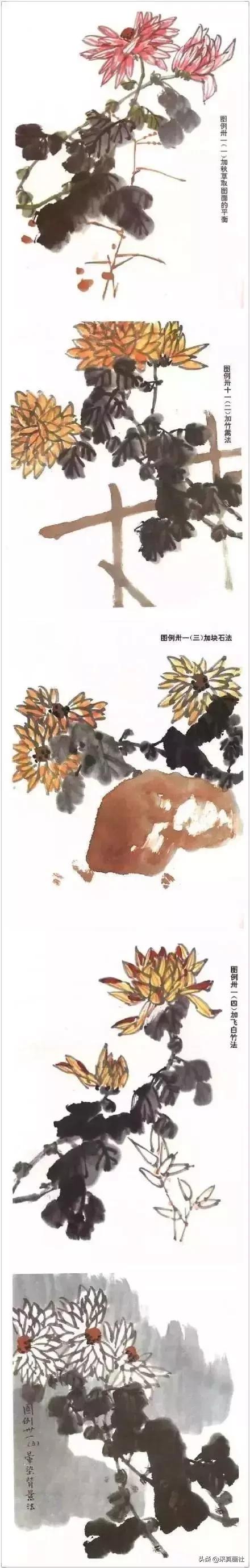 国画菊花技法绘画教程,国画菊花的基本画法