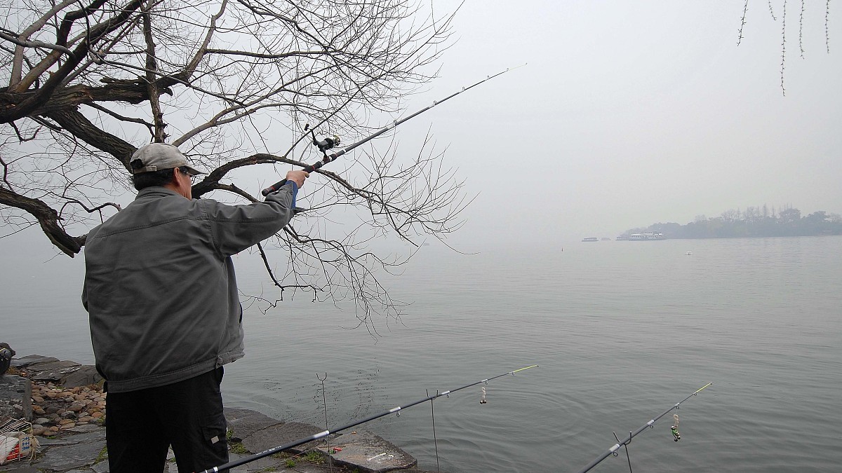 钓鱼人关注了，这六种垂钓行为，四种用饵被纳入监管，禁止使用！