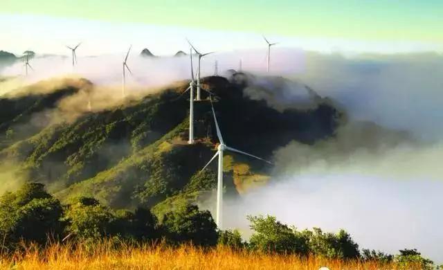 待到春暖花开时与你共赏樱花烂漫,待到春暖花开日便是把酒言欢时