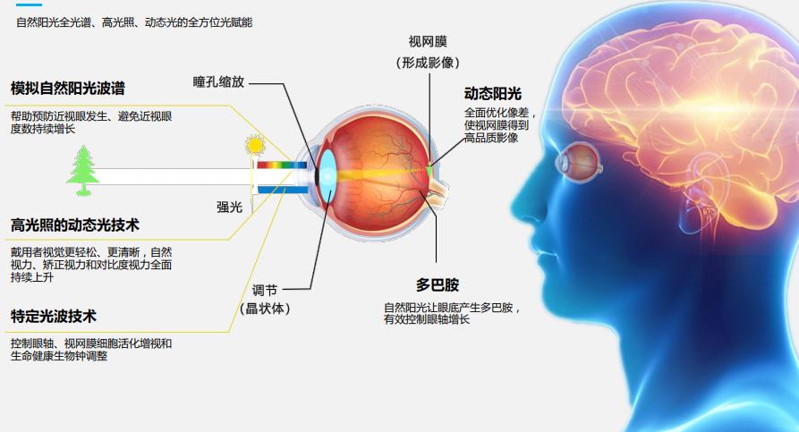 眼动康黑科技——破暗为明