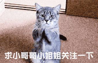 笑死我了朋友圈,笑死我了的朋友圈