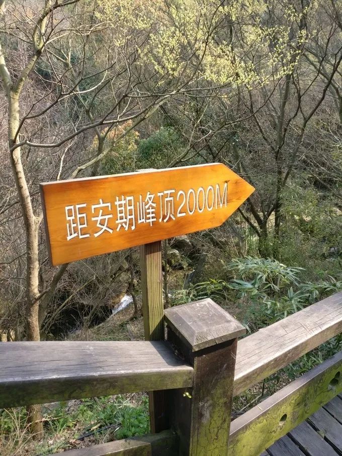 上海去桃花岛的自驾轮渡时间表,上海开车去舟山桃花岛怎么去