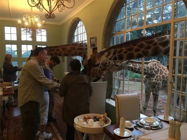 入住亚洲十大魔鬼酒店是什么感受,比利时奇葩酒店